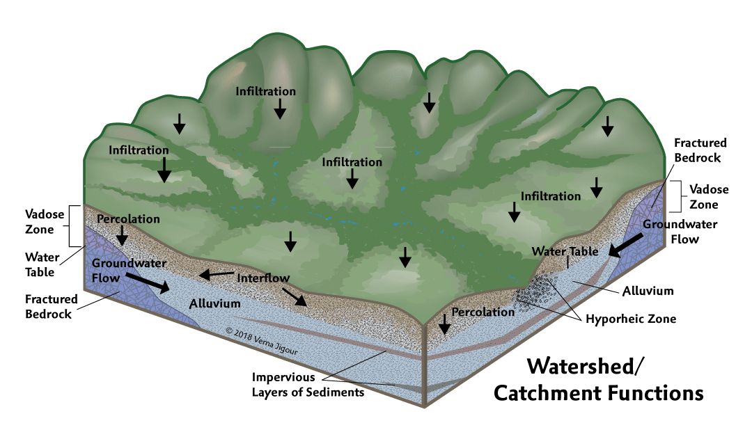 How Watersheds Relate to Groundwater