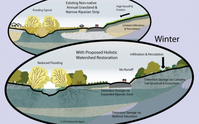 Catchment Restoration for Biodiversity, Climate Change Resilience